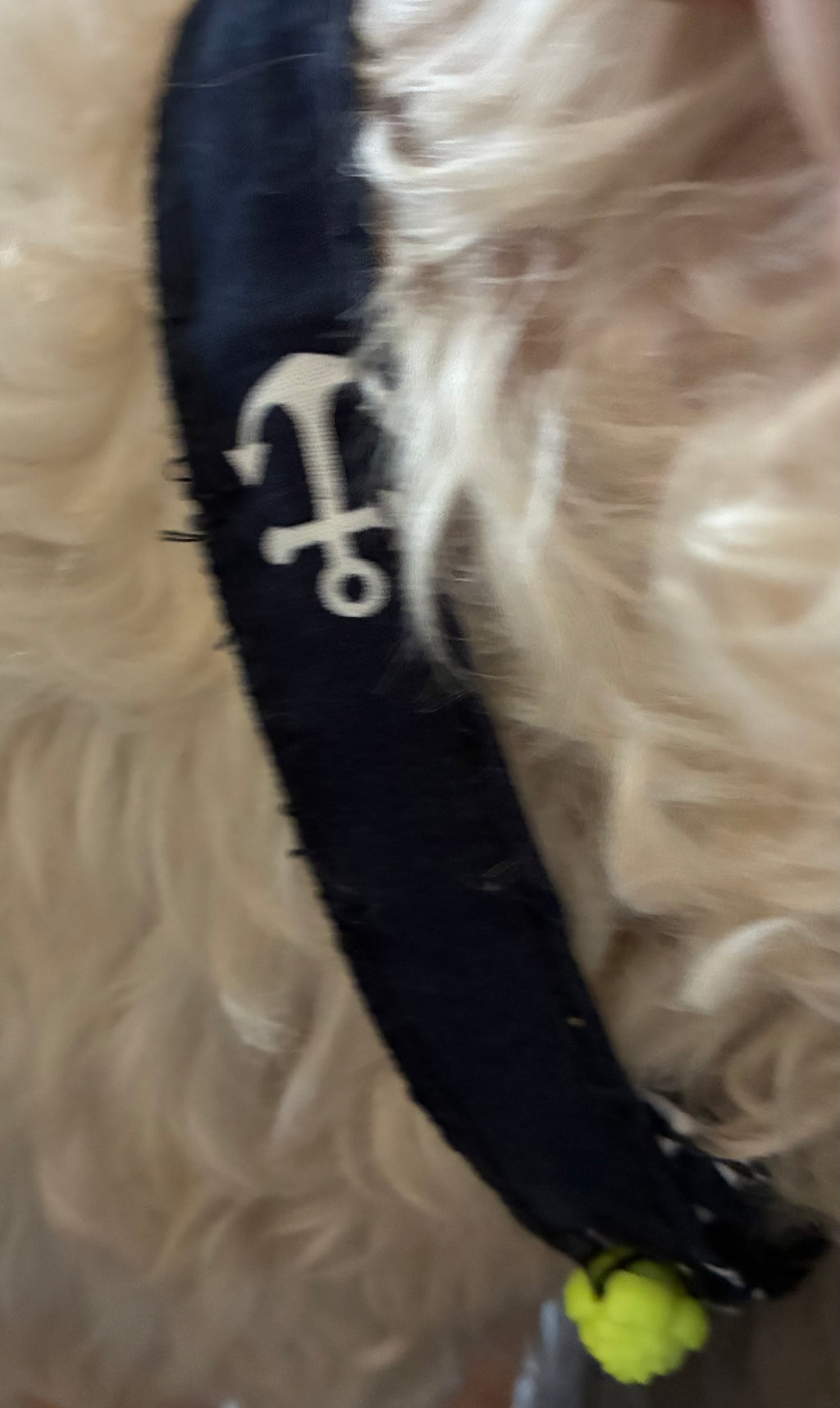 Anchor away dog collar