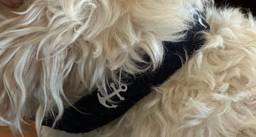 Anchor away dog collar