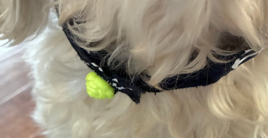 Anchor away dog collar